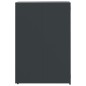 vidaXL Mülltonnenbox für 2 Tonnen Anthrazit 138x79x117 cm Stahl vidaXL Mülltonnenbox für 2 Tonnen Anthrazit 138x79x117 cm Stahl