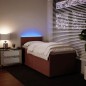 vidaXL Boxspringbett mit Matratze Rosa 90x200 cm Samt vidaXL Boxspringbett mit Matratze Rosa 90x200 cm Samt