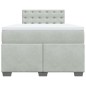 vidaXL Boxspringbett mit Matratze Hellgrau 120x200 cm Samt vidaXL Boxspringbett mit Matratze Hellgrau 120x200 cm Samt