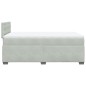 vidaXL Boxspringbett mit Matratze Hellgrau 120x200 cm Samt vidaXL Boxspringbett mit Matratze Hellgrau 120x200 cm Samt