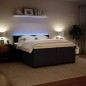 vidaXL Boxspringbett mit Matratze Dunkelgrau 200x200 cm Samt vidaXL Boxspringbett mit Matratze Dunkelgrau 200x200 cm Samt
