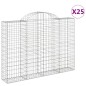 vidaXL Gabionen mit Hochbogen 25Stk. 200x30x140/160cm Verzinktes Eisen vidaXL Gabionen mit Hochbogen 25Stk. 200x30x140/160cm Verzinktes Eisen