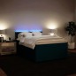 vidaXL Boxspringbett mit Matratze Blau 160x200 cm Samt vidaXL Boxspringbett mit Matratze Blau 160x200 cm Samt