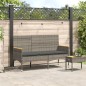 vidaXL Gartenbank 3-Sitzer mit Kissen Grau Poly Rattan vidaXL Gartenbank 3-Sitzer mit Kissen Grau Poly Rattan