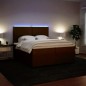 vidaXL Boxspringbett mit Matratze Rosa 200x200 cm Samt vidaXL Boxspringbett mit Matratze Rosa 200x200 cm Samt