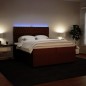 vidaXL Boxspringbett mit Matratze Rosa 200x200 cm Samt vidaXL Boxspringbett mit Matratze Rosa 200x200 cm Samt