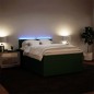 vidaXL Boxspringbett mit Matratze Dunkelgrün 140x190 cm Samt vidaXL Boxspringbett mit Matratze Dunkelgrün 140x190 cm Samt