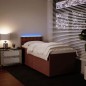 vidaXL Boxspringbett mit Matratze Rosa 80x200 cm Samt vidaXL Boxspringbett mit Matratze Rosa 80x200 cm Samt