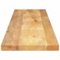 vidaXL Tischplatte 160x20x2,5 cm Rechteckig Massivholz Mango vidaXL Tischplatte 160x20x2,5 cm Rechteckig Massivholz Mango