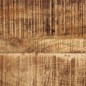 vidaXL Konsolentisch 100x35x70 cm Raues Massivholz Mango vidaXL Konsolentisch 100x35x70 cm Raues Massivholz Mango