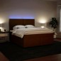 vidaXL Boxspringbett mit Matratze Rosa 180x200 cm Samt vidaXL Boxspringbett mit Matratze Rosa 180x200 cm Samt