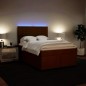 vidaXL Boxspringbett mit Matratze Rosa 140x200 cm Samt vidaXL Boxspringbett mit Matratze Rosa 140x200 cm Samt