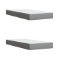 vidaXL Boxspringbett mit Matratze Hellgrau 200x200 cm Stoff vidaXL Boxspringbett mit Matratze Hellgrau 200x200 cm Stoff