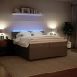 vidaXL Boxspringbett mit Matratze Hellgrau 200x200 cm Samt vidaXL Boxspringbett mit Matratze Hellgrau 200x200 cm Samt