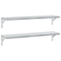 vidaXL Wandregale 2 Stk. 100x23,5 cm Silbern Edelstahl vidaXL Wandregale 2 Stk. 100x23,5 cm Silbern Edelstahl