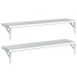 vidaXL Wandregale 2 Stk. 100x23,5 cm Silbern Edelstahl vidaXL Wandregale 2 Stk. 100x23,5 cm Silbern Edelstahl
