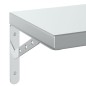 vidaXL Wandregale 2 Stk. 100x23,5 cm Silbern Edelstahl vidaXL Wandregale 2 Stk. 100x23,5 cm Silbern Edelstahl