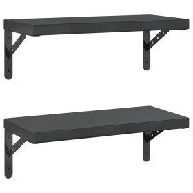 vidaXL Wandregale 2 Stk. 50x23,5 cm Schwarz Edelstahl