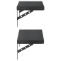 vidaXL Wandregale 2 Stk. 50x23,5 cm Schwarz Edelstahl vidaXL Wandregale 2 Stk. 50x23,5 cm Schwarz Edelstahl