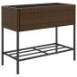 vidaXL Pflanzkübel mit Ablage Braun Poly Rattan vidaXL Pflanzkübel mit Ablage Braun Poly Rattan
