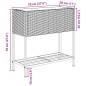 vidaXL Pflanzkübel mit Ablage Schwarz Poly Rattan vidaXL Pflanzkübel mit Ablage Schwarz Poly Rattan
