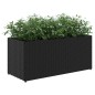 vidaXL Hochbeet mit 2 Fächern Schwarz 72x30x32 cm Poly Rattan vidaXL Hochbeet mit 2 Fächern Schwarz 72x30x32 cm Poly Rattan