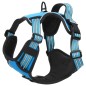 vidaXL Hundegeschirr mit Leine & Halsband Verstellbar Blau L vidaXL Hundegeschirr mit Leine & Halsband Verstellbar Blau L