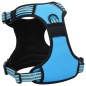 vidaXL Hundegeschirr mit Leine & Halsband Verstellbar Blau L vidaXL Hundegeschirr mit Leine & Halsband Verstellbar Blau L