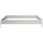 vidaXL Hochbeet 100x100x18,5 cm Edelstahl vidaXL Hochbeet 100x100x18,5 cm Edelstahl
