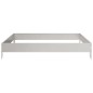 vidaXL Hochbeet 100x100x18,5 cm Edelstahl vidaXL Hochbeet 100x100x18,5 cm Edelstahl