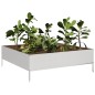 vidaXL Hochbeet 100x100x33,5 cm Edelstahl vidaXL Hochbeet 100x100x33,5 cm Edelstahl