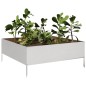 vidaXL Hochbeet 100x100x25 cm Edelstahl vidaXL Hochbeet 100x100x25 cm Edelstahl