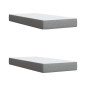 vidaXL Boxspringbett mit Matratze Hellgrau 200x200 cm Stoff vidaXL Boxspringbett mit Matratze Hellgrau 200x200 cm Stoff