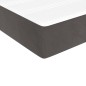 vidaXL Taschenfederkernmatratze Dunkelgrau 90x220x20 cm Samt vidaXL Taschenfederkernmatratze Dunkelgrau 90x220x20 cm Samt
