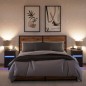 vidaXL Nachttische mit LED-Leuchten 2 Stk. Schwarz Holzwerkstoff vidaXL Nachttische mit LED-Leuchten 2 Stk. Schwarz Holzwerkstoff