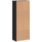 vidaXL Aktenschrank Schwarz 60x32x153 cm Holzwerkstoff vidaXL Aktenschrank Schwarz 60x32x153 cm Holzwerkstoff
