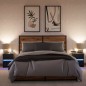vidaXL Nachttische mit LED-Leuchten 2 Stk. Schwarz Holzwerkstoff vidaXL Nachttische mit LED-Leuchten 2 Stk. Schwarz Holzwerkstoff