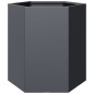 vidaXL Pflanzkübel 2 Stk. Anthrazit Sechseckig 46x40x45 Stahl vidaXL Pflanzkübel 2 Stk. Anthrazit Sechseckig 46x40x45 Stahl