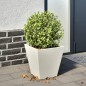 vidaXL Pflanzkübel Weiß 30x30x30 Stahl vidaXL Pflanzkübel Weiß 30x30x30 Stahl