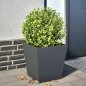 vidaXL Pflanzkübel Anthrazit 40x40x40 Stahl vidaXL Pflanzkübel Anthrazit 40x40x40 Stahl