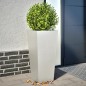 vidaXL Pflanzkübel 2 Stk. 35x35x75 cm Edelstahl vidaXL Pflanzkübel 2 Stk. 35x35x75 cm Edelstahl