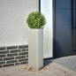 vidaXL Pflanzkübel Dreieckig 30x26x75 cm Edelstahl vidaXL Pflanzkübel Dreieckig 30x26x75 cm Edelstahl