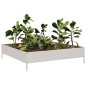 vidaXL Hochbeet 100x100x26 cm Edelstahl vidaXL Hochbeet 100x100x26 cm Edelstahl