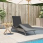 vidaXL Sonnenliege mit Auflage Grau Poly Rattan vidaXL Sonnenliege mit Auflage Grau Poly Rattan