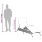 vidaXL Sonnenliege mit Auflage Grau Poly Rattan vidaXL Sonnenliege mit Auflage Grau Poly Rattan
