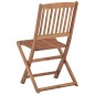 vidaXL Klappbare Gartenstühle 4 Stk. mit Kissen Massivholz Akazie vidaXL Klappbare Gartenstühle 4 Stk. mit Kissen Massivholz Akazie