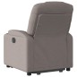 vidaXL Relaxsessel mit Aufstehhilfe Elektrisch Taupe Stoff vidaXL Relaxsessel mit Aufstehhilfe Elektrisch Taupe Stoff