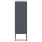 vidaXL Highboard Anthrazit 68,5x38,5x123,5 cm Stahl vidaXL Highboard Anthrazit 68,5x38,5x123,5 cm Stahl