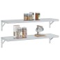 vidaXL Wandregale 2 Stk. 100x30x3 cm Silbern Edelstahl vidaXL Wandregale 2 Stk. 100x30x3 cm Silbern Edelstahl