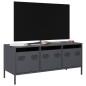 vidaXL TV-Schrank Anthrazit 101,5x39x43,5 cm Kaltgewalzter Stahl vidaXL TV-Schrank Anthrazit 101,5x39x43,5 cm Kaltgewalzter Stahl